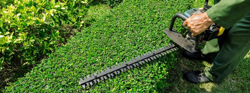 servico-de-jardinagem-como-o-equipamento-impacta-a-produtividade