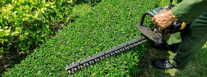 servico-de-jardinagem-como-o-equipamento-impacta-a-produtividade servico-de-jardinagem-como-o-equipamento-impacta-a-produtividade