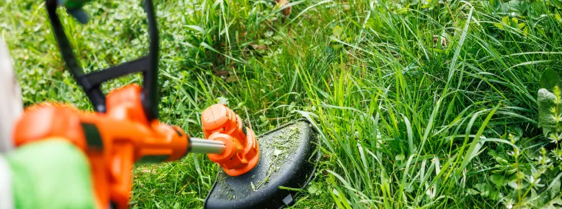 Quando alugar roçadeira elétrica Quando alugar roçadeira elétrica