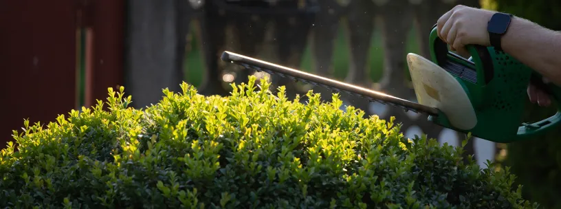 8 passos para reformar o jardim | Casa do Construtor - Aluguel de equipamentos