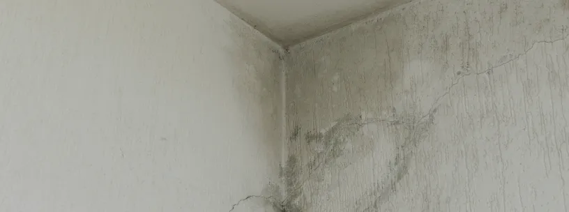 Parede com infiltração? Veja aqui 4 dicas para resolver o problema | Casa do Construtor - Aluguel de equipamentos