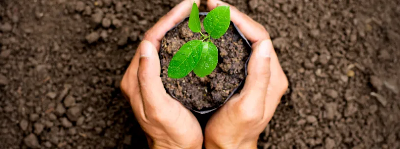 NR-9 Programa de prevenção de riscos ambientais | Casa do Construtor - Aluguel de equipamentos