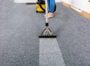 Aspirador de pó e água: vale a pena buscar o aluguel?
