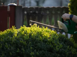 8 passos para reformar o jardim | Casa do Construtor - Aluguel de equipamentos