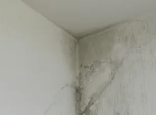 Infiltração em parede - Vejas os cuidados e dicas | Casa do Construtor - Aluguel de equipamentos