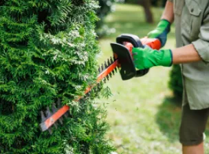 Paisagismo - Dicas para conseguir um bom resultado | Casa do Construtor - Aluguel de equipamentos