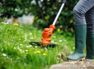 Conheça 7 ferramentas para jardinagem essenciais | Casa do Construtor - Aluguel de equipamentos