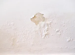 Mofo na parede: veja como solucionar | Casa do Construtor - Aluguel de equipamentos