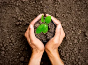 NR-9 Programa de prevenção de riscos ambientais | Casa do Construtor - Aluguel de equipamentos