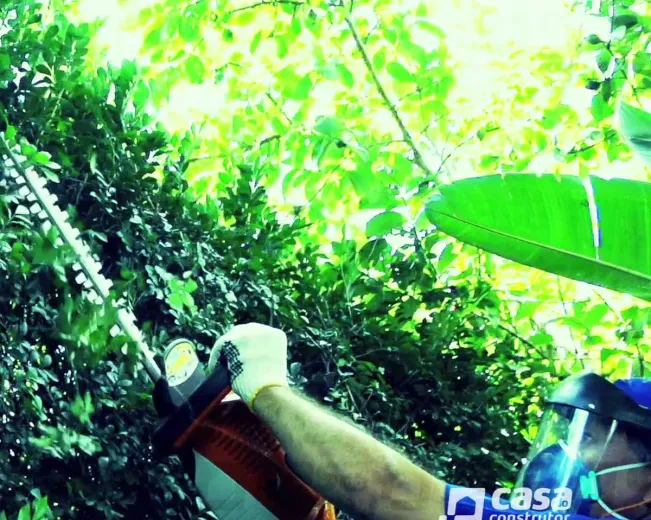 Aluguel de Aparador de Cerca Viva